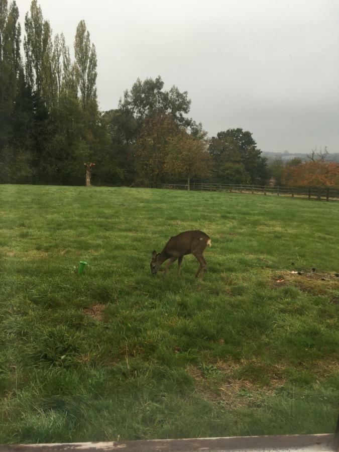 דירות West Ashton Tanglewood מראה חיצוני תמונה